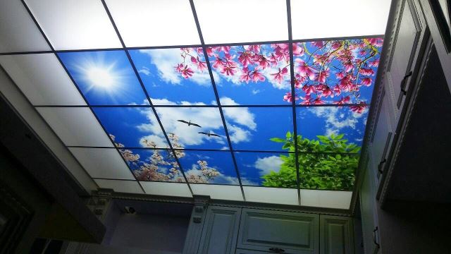 کناف در کرج