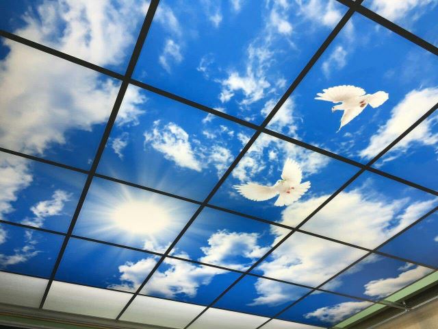 کناف در کرج