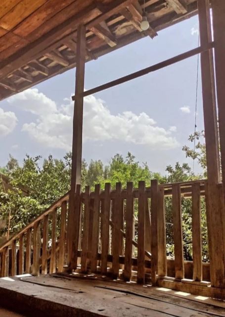 عاطفه پورسلطان